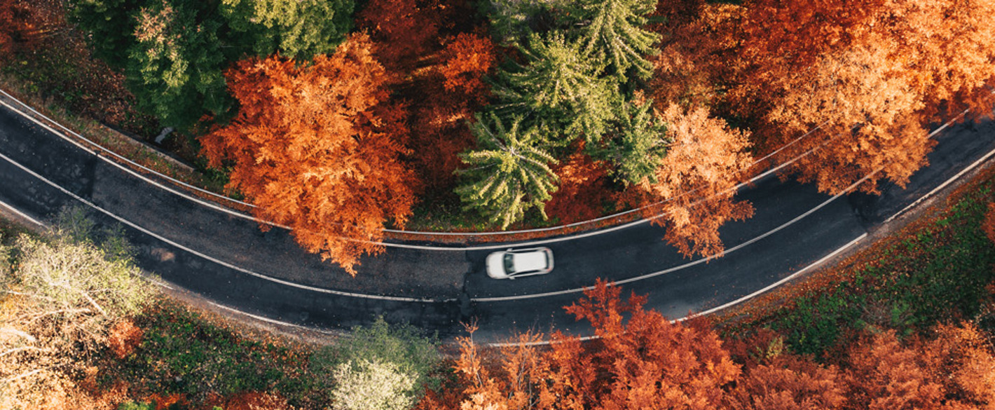Drivkraft Sverige - om färdplanen för klimatneutralitet, om försörjningstrygghet och beredskap