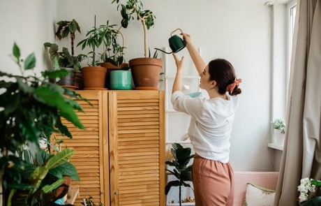 Adobestock 435763594 Beskuren